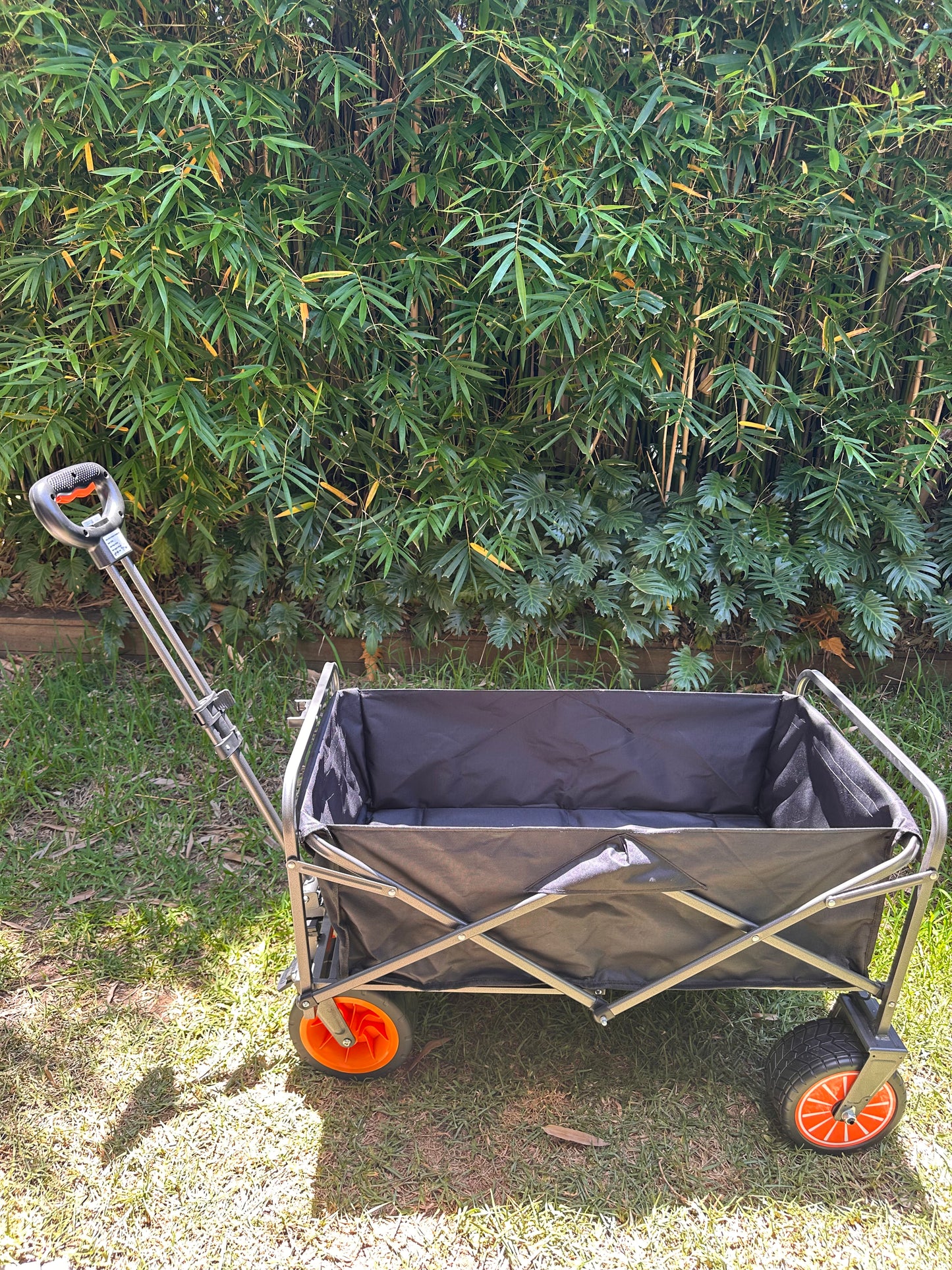 Chariot Electric Wagon